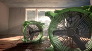 servPro_sh12_020